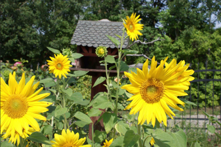 Grundstück zu verkaufen in Heidesee 82.000,00 € 1347 m²