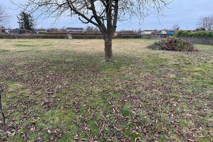 Kleingarten - 10,00&nbsp;EUR Kaltmiete, ca.&nbsp; 0,00&nbsp;m&sup2; in Rackwitz (PLZ: 04519)