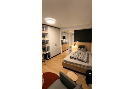 Möbliertes 1-Zi. Apartment Neckarpark (Rabatt für 2026) - Stuttgart Bad Cannstatt