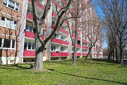 1-Zimmer Wohnung in Erfurt in schöner Lage zu vermieten