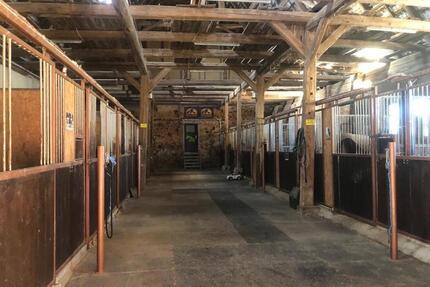 Pferdehaltung, Wohngemeinschaft, Mehrfamilienhaus - Nossen