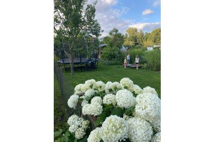 Pachtgarten zentrumsnah mit viel Ausstattung - ideal für Kinder - Cottbus Brunschwig