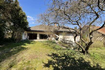 Haus zum Kaufen in Hahnbach 485.000,00 € 265 m²