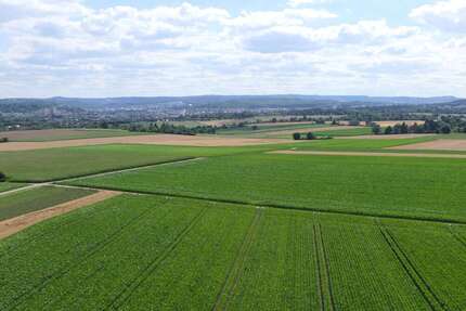 Wohnung zum Kaufen in Kornwestheim 219.000,00 € 58 m²