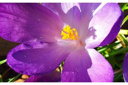 Möbliertes Appartement ideal für Studenten oder Wochenendfahrer - Münster Erphoviertel