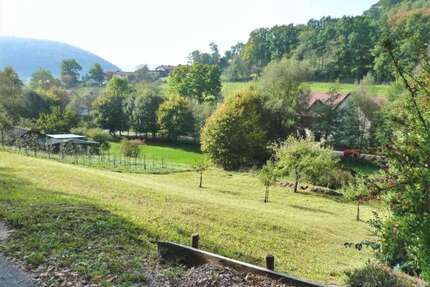 Grundstück zu verkaufen in Ebelsbach 139.000,00 € 740 m²