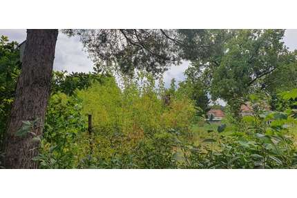 Grundstück zu verkaufen in ZossenOT Dabendorf 149.000,00 € 600 m² - Zossen/OT Dabendorf