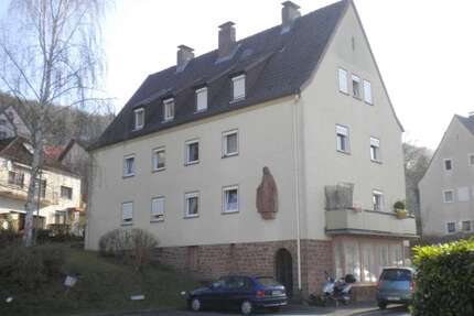 Wohnung zum Mieten in Gemünden 330,00 € 44.09 m²