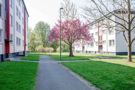 Wohnung zum Mieten in Baesweiler 460,00 € 63 m²