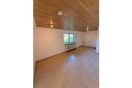 2 Zimmer Wohnung zu Vermietung - 700,00&nbsp;EUR Kaltmiete, ca.&nbsp; 49,00&nbsp;m&sup2; in Sandhausen (PLZ: 69207)