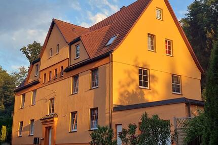 Wohnung 1.OG - 250,00&nbsp;EUR Kaltmiete, ca.&nbsp; 58,00&nbsp;m&sup2; in St. Egidien (PLZ: 09356)