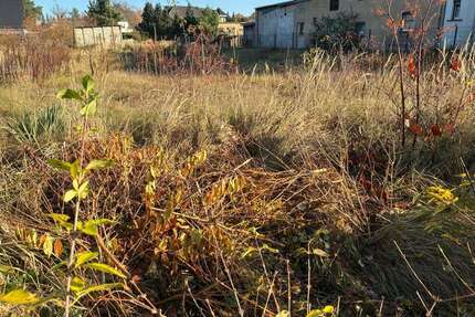 Grundstück zu verkaufen in Guteborn 48.000,00 € 1681 m²