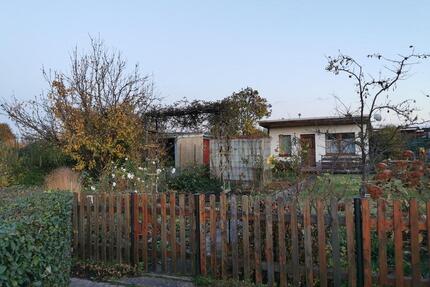 Kleingarten in Dresden-Cotta - 2.700,00&nbsp;EUR Kaltmiete, ca.&nbsp; 0,00&nbsp;m&sup2; in Dresden (PLZ: 01157) Cotta