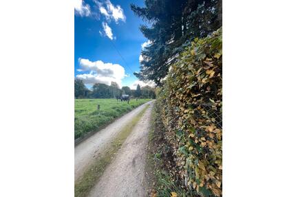 Wochenendgrundstück mit Bungalow und Garage in Rochwitz - Dresden Loschwitz