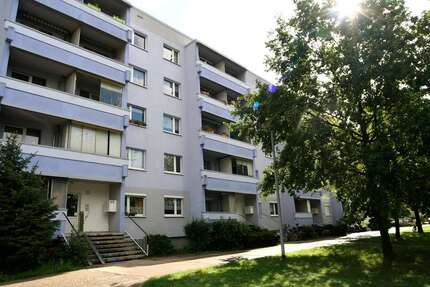 Wohnung zum Mieten in Dessau-Roßlau 308,00 € 49.6 m²