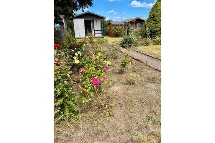 Schönen Garten günstig zu verpachten - Glauchau