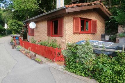 2 Zimmer Wohnung im Tiny House - 450,00&nbsp;EUR Kaltmiete, ca.&nbsp; 47,00&nbsp;m&sup2; in Eberbach (PLZ: 69412)