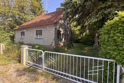 Haus zum Kaufen in Lutherstadt Wittenberg 75.000,00 € 115 m²