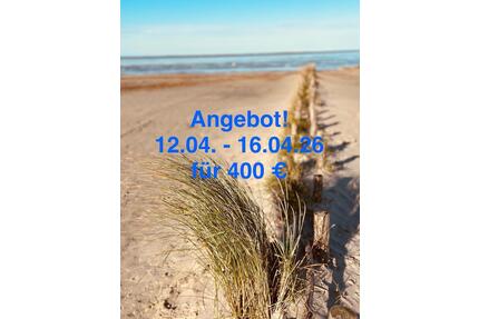 Gemütliche Ferienwohnung in Carolinensiel ⭐️ Angebot im April ⭐️ - Münster Münster-Südost