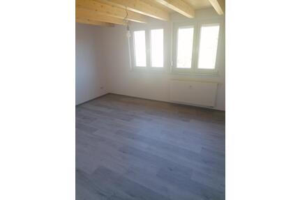 Großzügige 5,5-Zimmer Dachgeschosswohnung mit Balkon renoviert - Wald-Michelbach