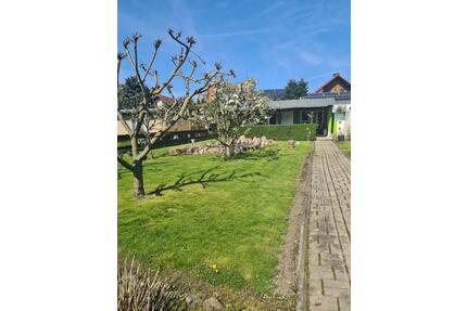 Kleingarten mit Kamin, Bad und Terrasse - Delitzsch