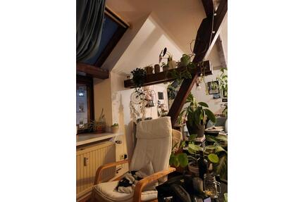 schönes, helles, großes Zimmer zur Zwischenmiete - Kiel Südfriedhof