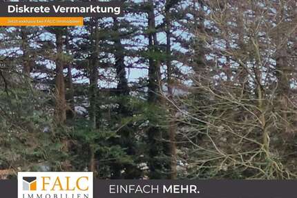 Haus zum Kaufen in Mömbris-Niedersteinbach 1.450.000,00 € 220 m²