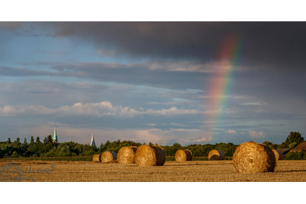 3 ZW inkl. Balkon, neu saniert mit Aufzug in Kamen