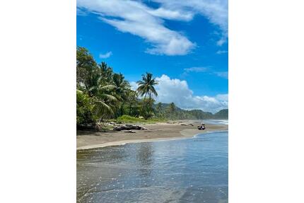 COSTA Rica Appartment 400 m vom Strand mit Gartennutzung langfristig zu verm. ☎️ 0 - Erfurt Kühnhausen