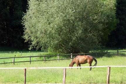 Haus zum Mieten in Todendorf 1.600,00 € 124 m²