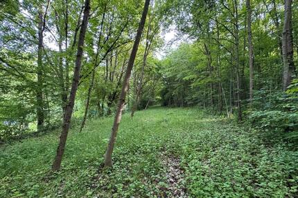 Grünland Freizeitgrundstück Garten Wald in Bamberg, Pacht