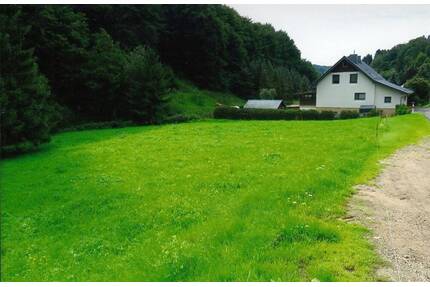 Waldwiesengrundstück am Ebertsbach in Kleinschmalkalden - Floh-Seligenthal