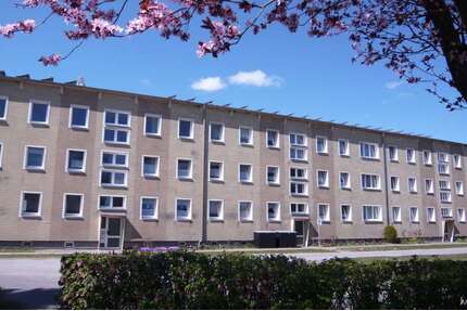 Wohnung zum Mieten in Franzburg 282,00 € 51.12 m²