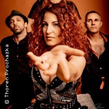 Sonic Stories. Bonsai Kitten - Radiokonzert