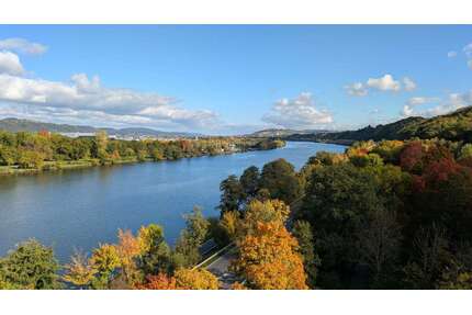 Wohnung zum Kaufen in Konz 315.000,00 € 102 m²