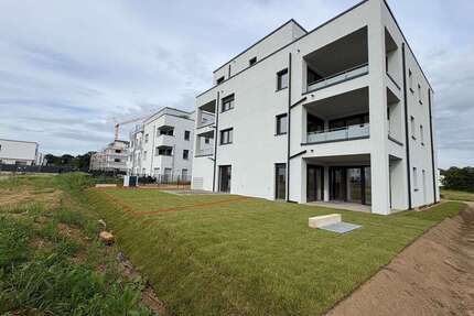 Wohnung zum Mieten in Nörvenich 1.155,00 € 77 m²
