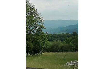 ruhige, gemütliche, teilmöblierte 2 Zi. - DG Wohnung - Dahlheim