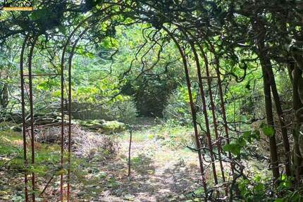 270.000 für 1.132 qm GRUNDSTÜCK mit sanierungsbedürftigen RESTHOF in der Fränkischen Schweiz - Weißenohe