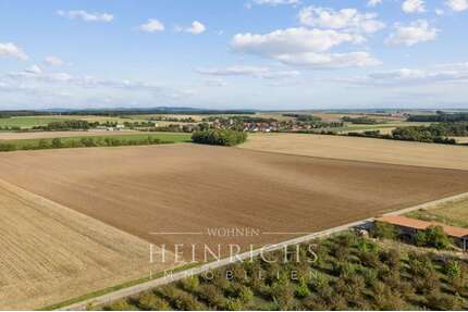 Grundstück in Erlach 622.000,00 € 65481 m²