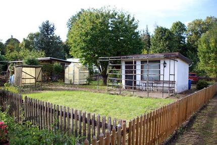 Kleingarten im Köttwitzschtal in Rochlitz (Parzelle 117)