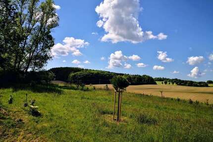 Grundstück zu verkaufen in Satow 199.000,00 € 2000 m²