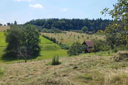 Gartengrundstück in Haubersbronn - Schorndorf