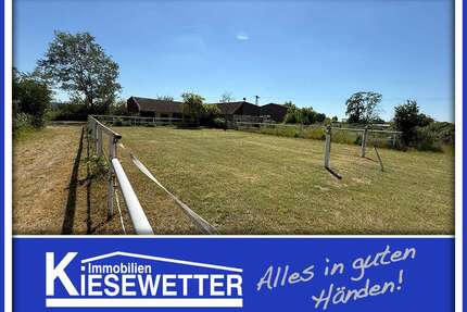 Haus zum Kaufen in Worms 998.000,00 € 300 m²
