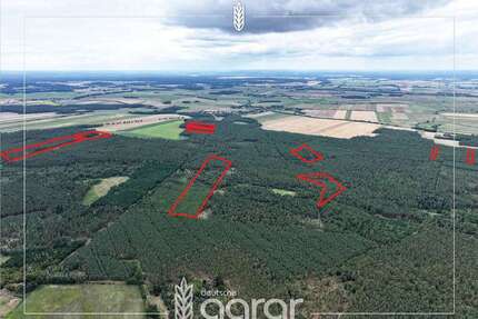 Grundstück zu verkaufen in Märkisch Luch Garlitz 239.000,00 € 288294 m² - Märkisch Luch / Garlitz