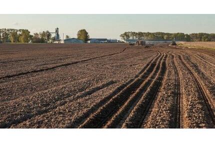 Zu verpachten 30 ha Ackerland - 180,00&nbsp;EUR Kaltmiete, ca.&nbsp; 0,00&nbsp;m&sup2; in Bruchsal (PLZ: 76646)