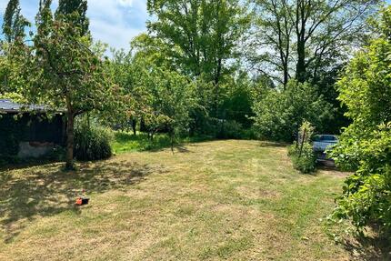 Gartengrundstück zu verpachten Mainlage Obstbäume - Würzburg Dürrbachau