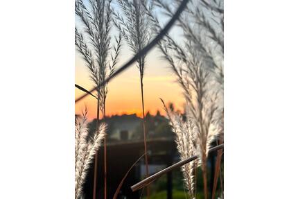 Garten in Sebnitz abzugeben - 1.500,00&nbsp;EUR Kaltmiete, ca.&nbsp; 0,00&nbsp;m&sup2; in Dresden (PLZ: 01169) Cotta