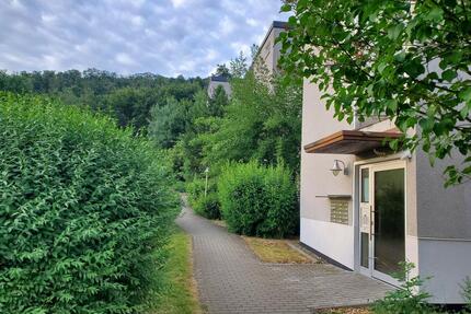 Sehr schöne 1-Zi. Wohnung mit Balkon in Wolfshagen im Harz - Langelsheim