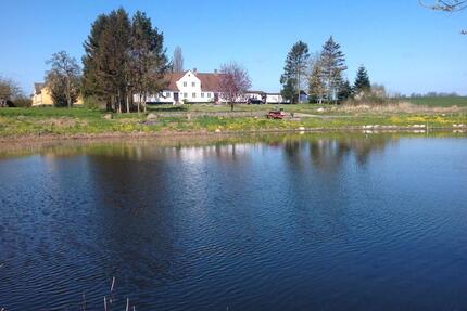 Einzigartige Immobilie mit vielen Möglichkeiten auf Nordlangeland - Flensburg