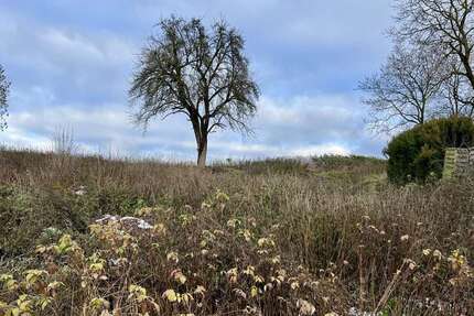 Grundstück zu verkaufen in Sinzing Bergmatting 199.000,00 € 1421 m²